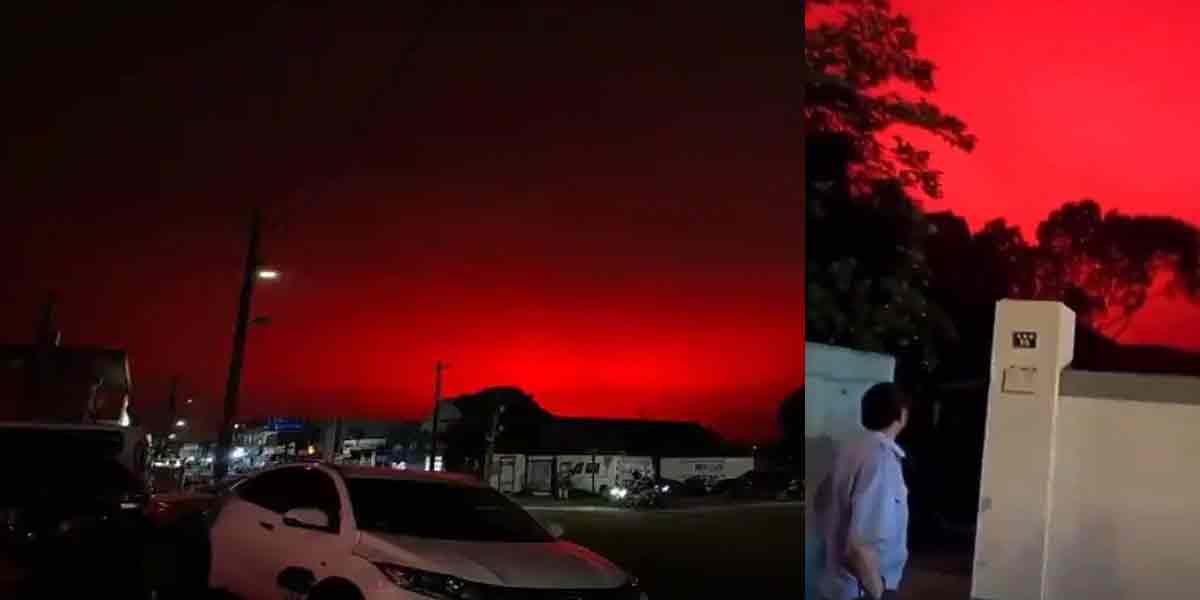 red sky frozen in panic!