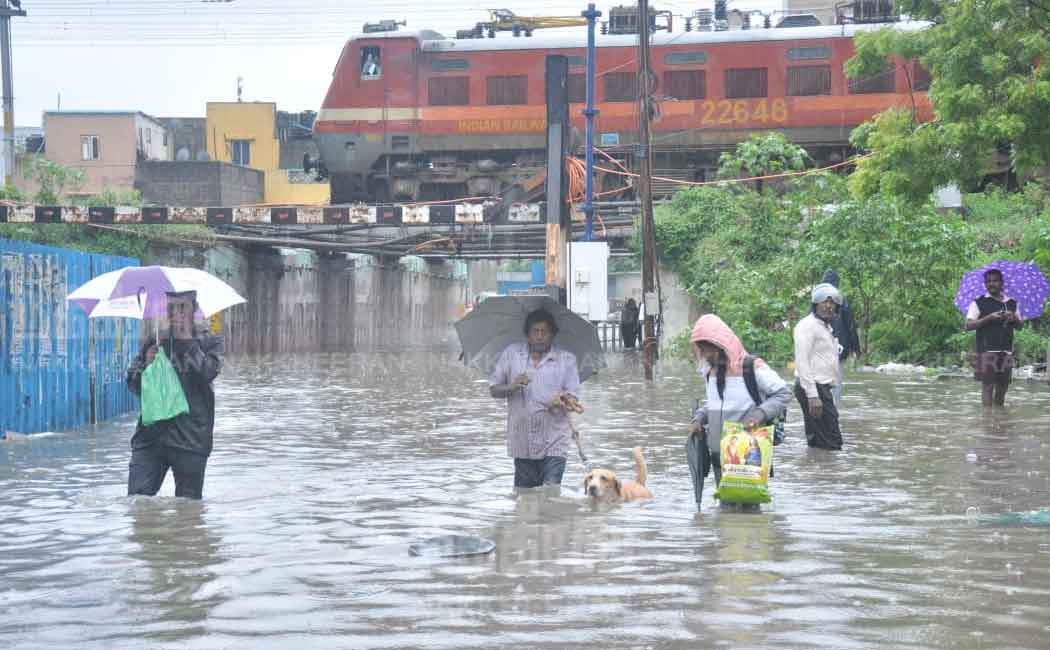 Heavy rain in Chennai; Rainwater on the roads! (pictures)