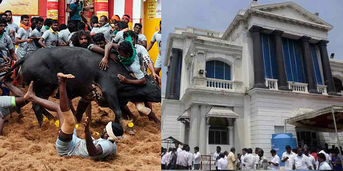3 lakh each to the families of the three who lost life in Jallikattu