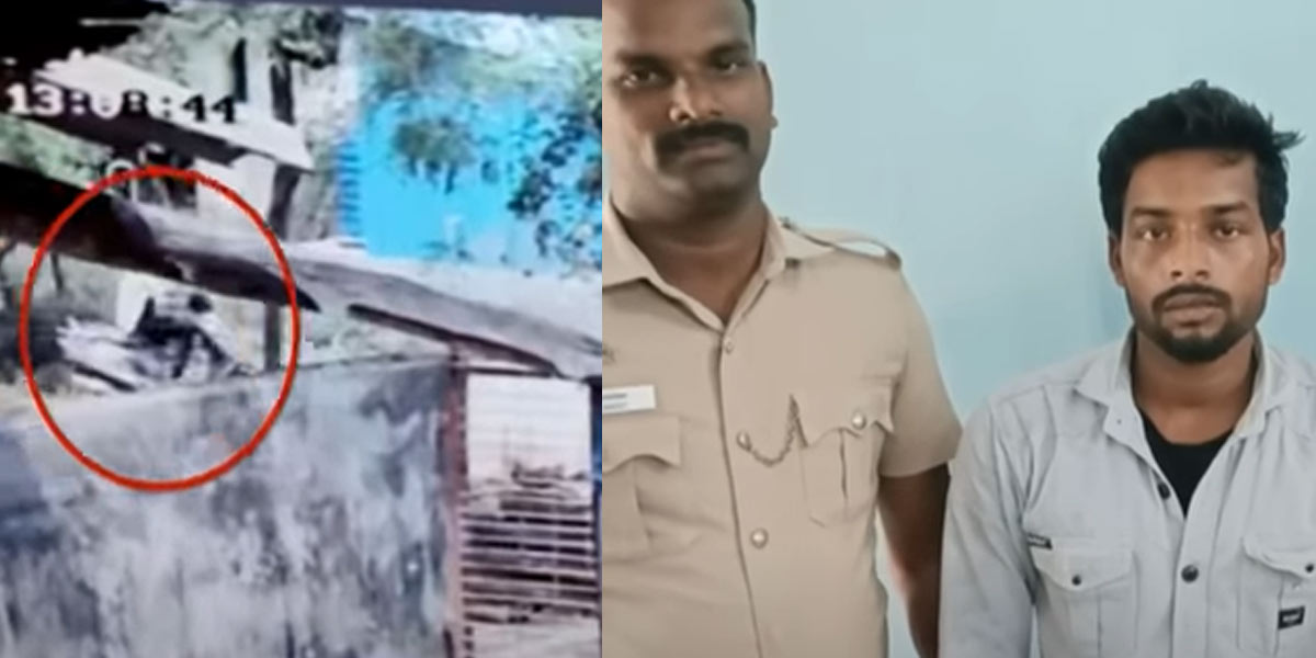 steals only half; stir in Panrutti