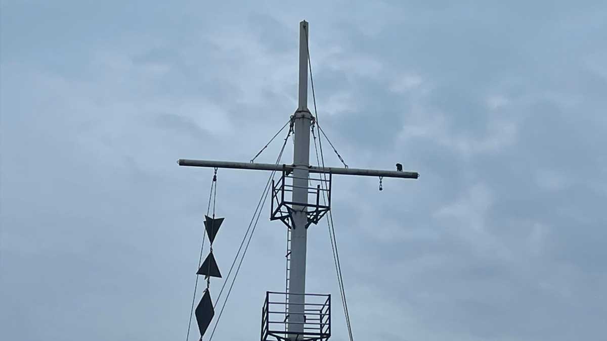 No. 7 storm warning cage hoisted at Cuddalore port