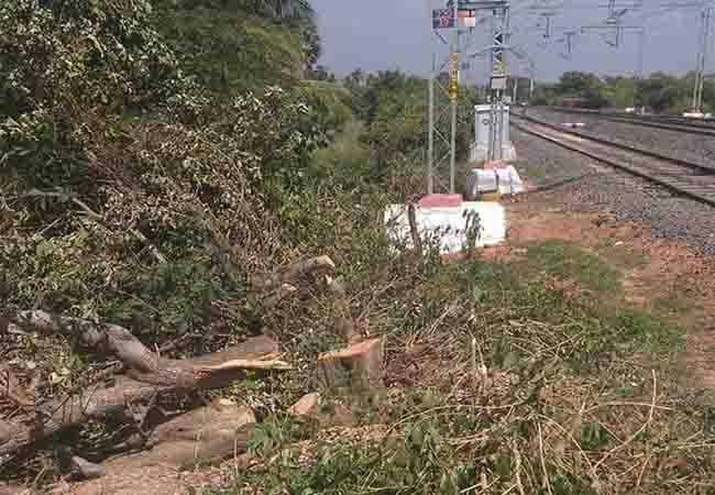 Railway Administration for Cutting Trees Nature enthusiasts suffer!