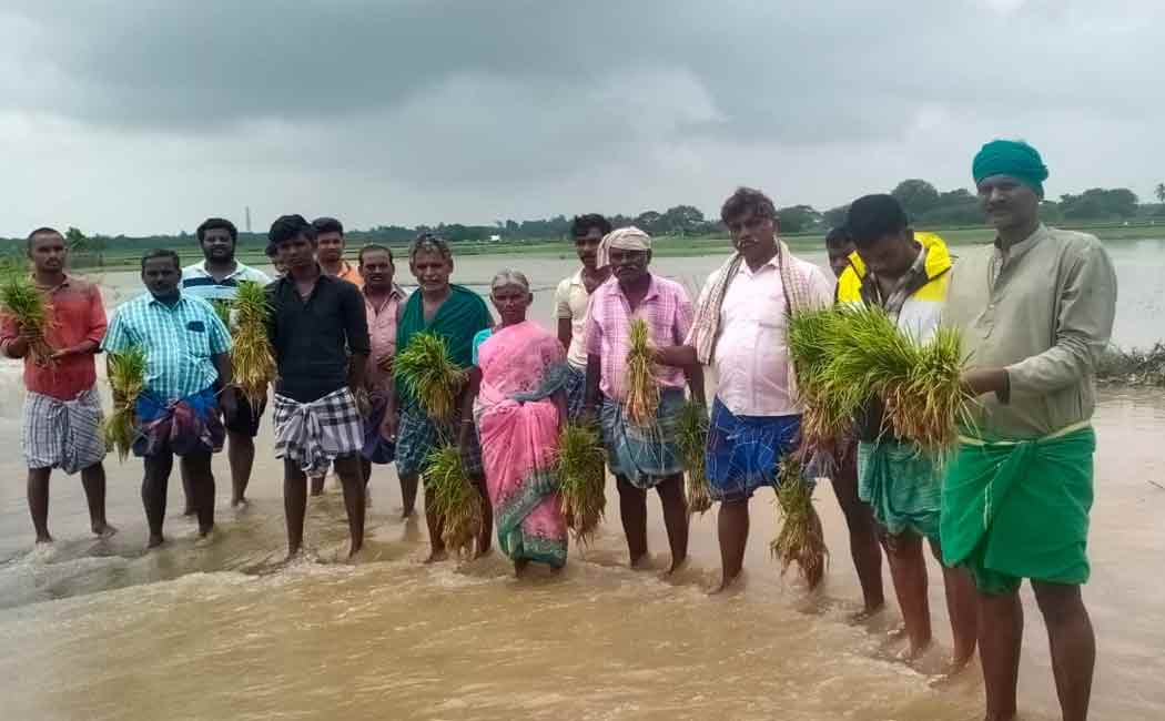 Farmers struggling in a submerged field