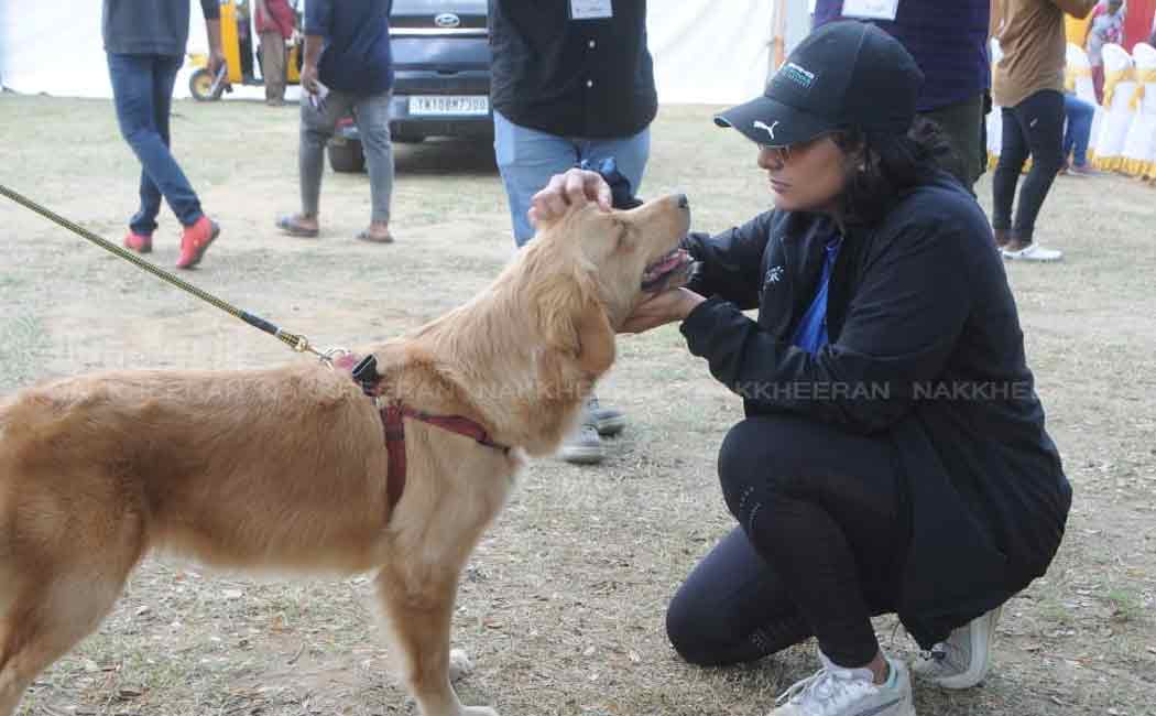 pet and dog show in chennai nandanam ymca ground