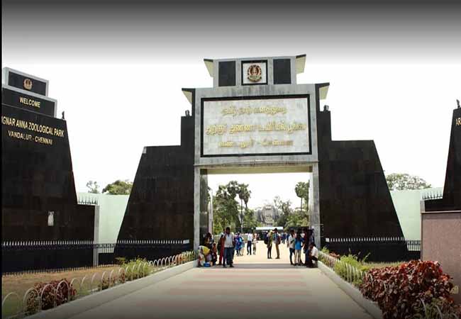 Govt allocates Rs 6 crore for Vandalur zoo