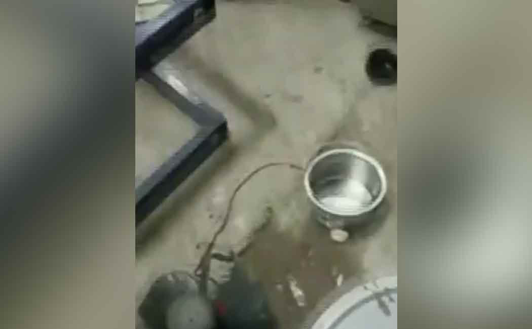 The police sent a warning.. The youth damaged the shop