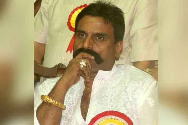 congress ammk new alliance