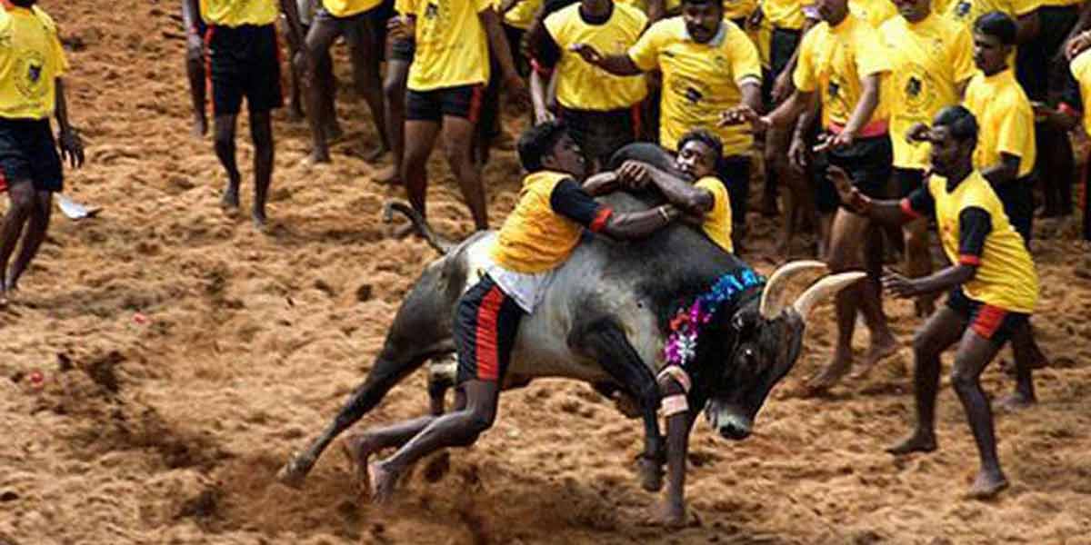 'Will Jallikattu take place as planned? -Minister Murthy interview!