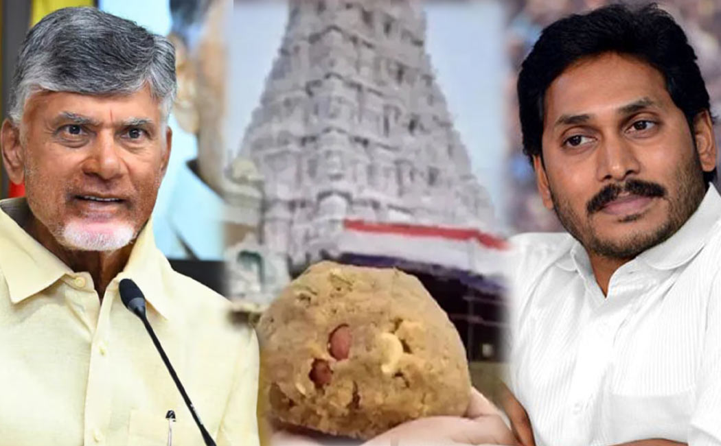 YSR Congress Rebuts Chandrababu Naidu Statement About Tirupati Laddu