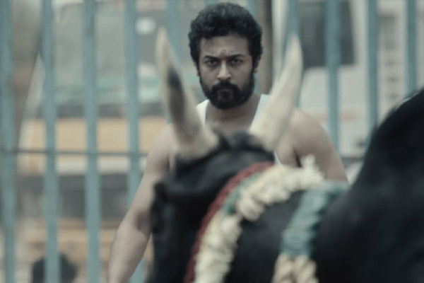 vaadivaasal movie new update