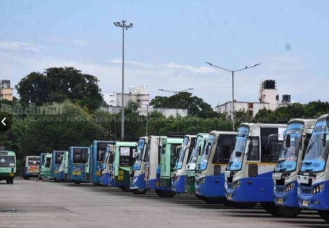 tn govt special bus 4 lakhs above peoples travelled the native districts