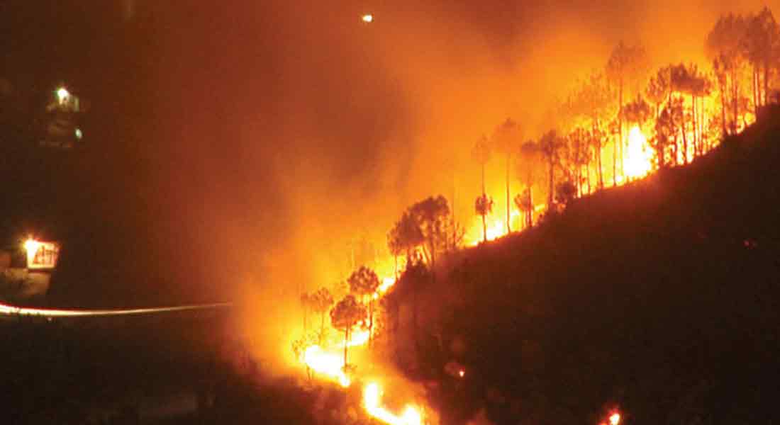 Wildfire in theni...Will the forest department take action?