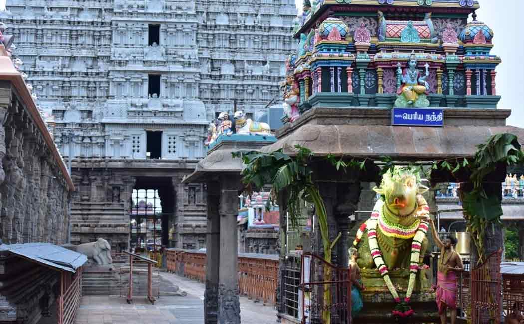 Devotees allowed in Tanjore, why not allowed in Thiruvannamalai? - Devotees question