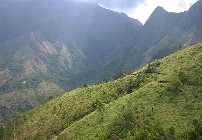theni forest area incident