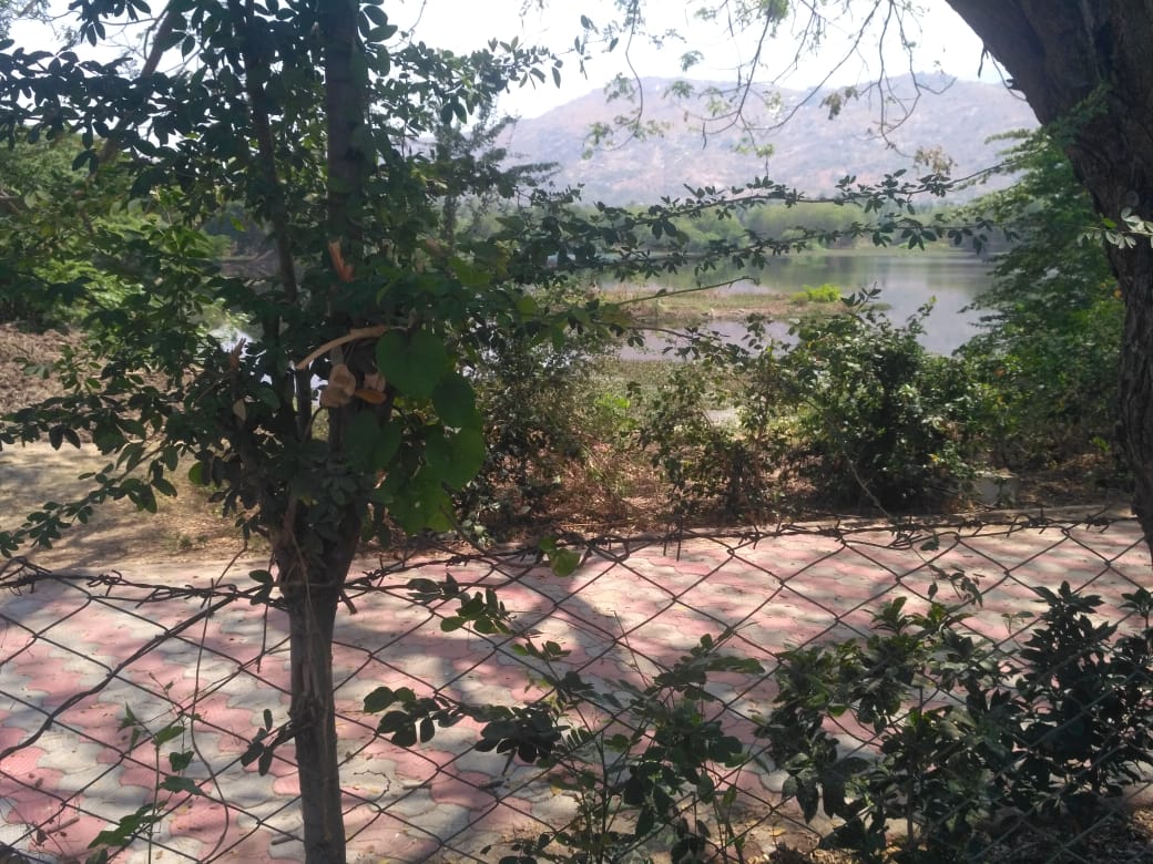 salem lake