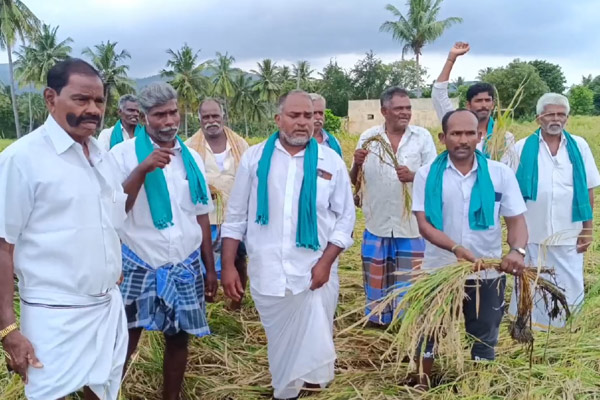 Farmers agony Ration shops provide things instead of rice