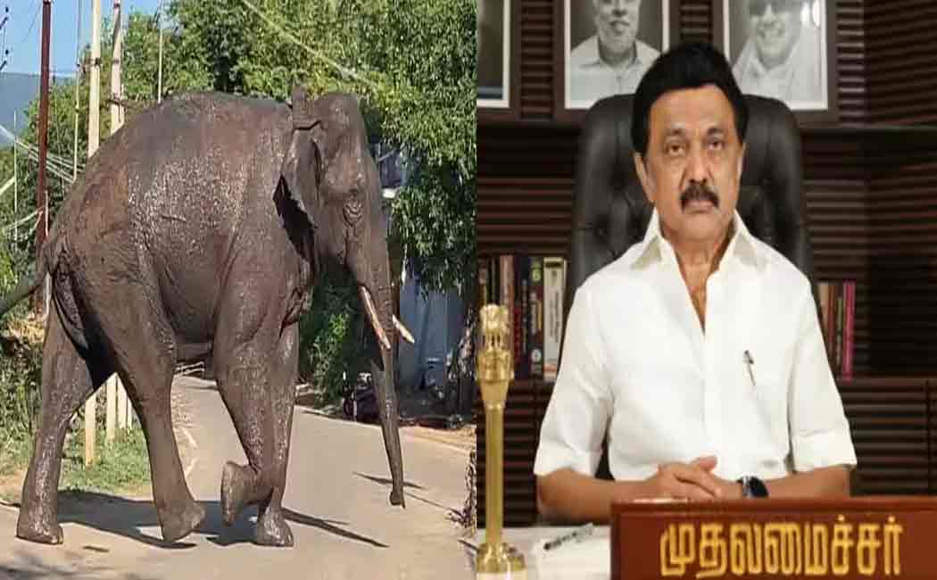 The Tragedy Caused by the arisikomban; Chief Minister relief