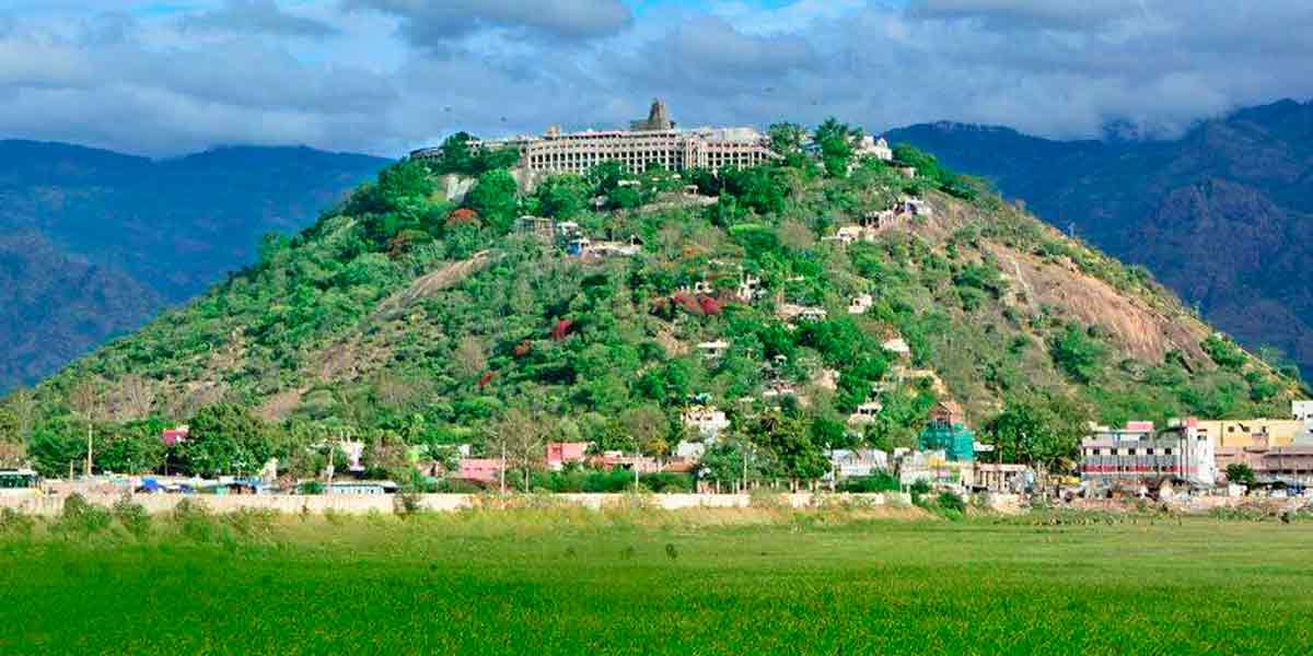 Thaipusad festival begins with flag hoisting in Palani