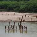 'Mashco Piro' tribal struggle in Amazon jungle