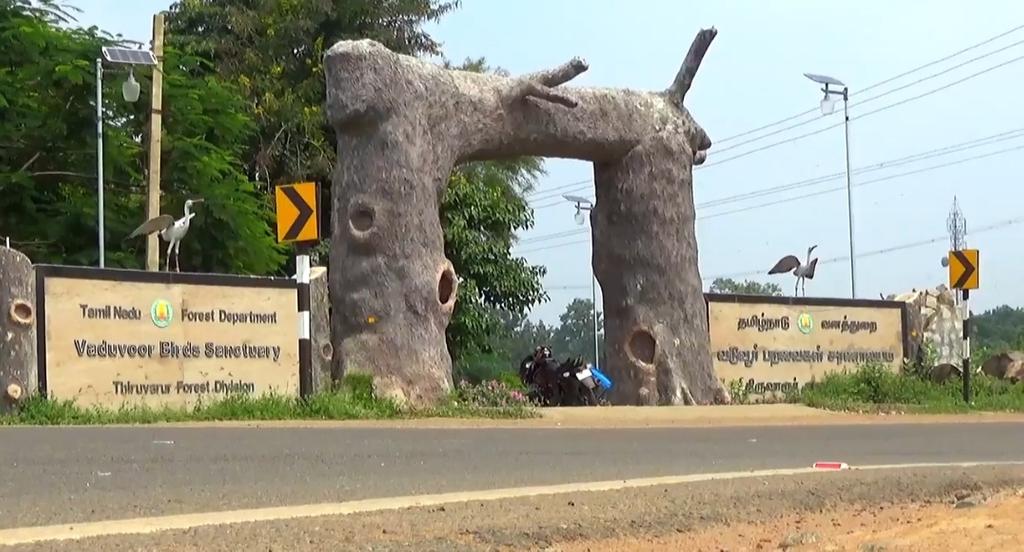 Millions of exotic birds; Vaduvoor Bird Sanctuary without tourists!
