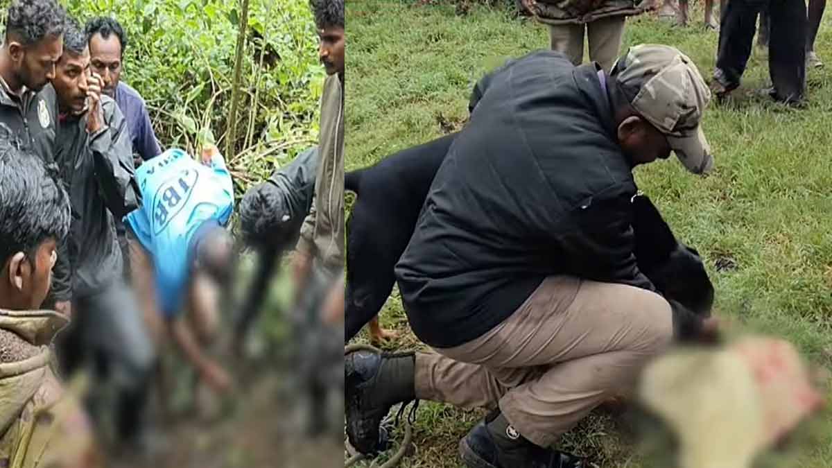Leopard carries off girl - body recovered