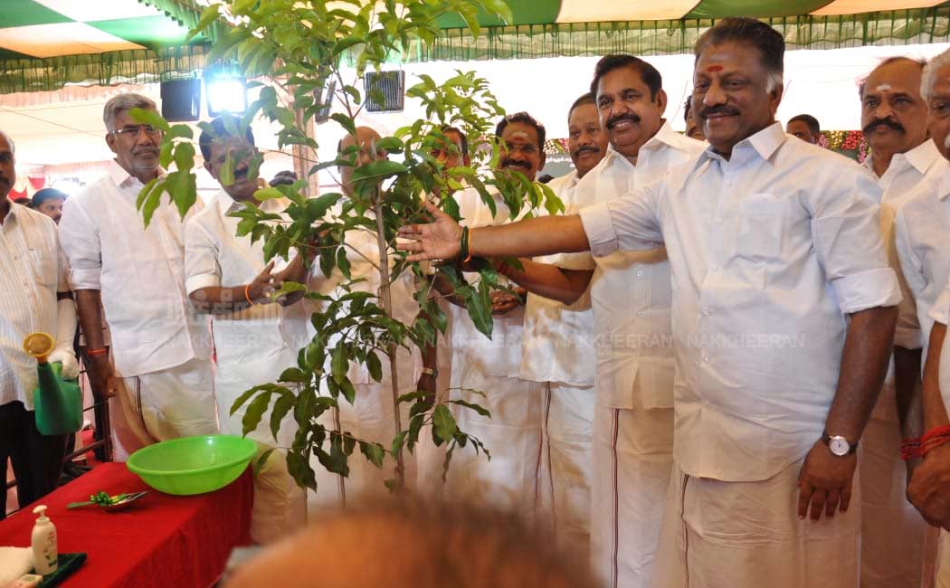 jayalalitha birthday function