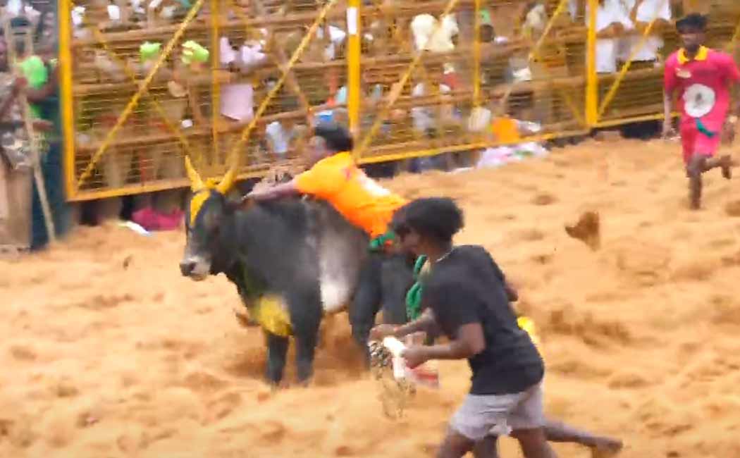 Who took the top spot at Palamedu Jallikattu Competition