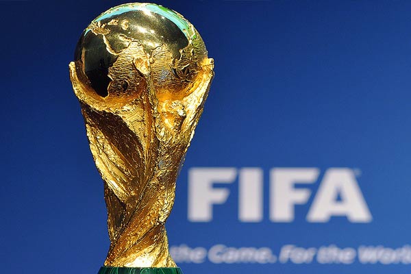 iIncident happened to 3 million dogs for World Cup football series