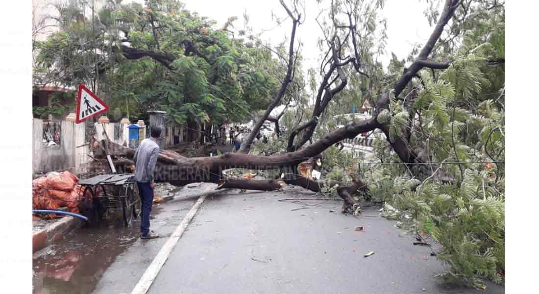 Heavy rain in Uthagai... TNBSC cancels exam!