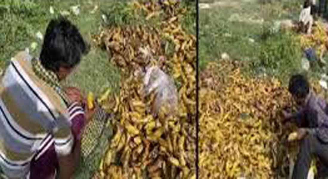 INCIDENT IN YAMUNA RIVER SIDE...