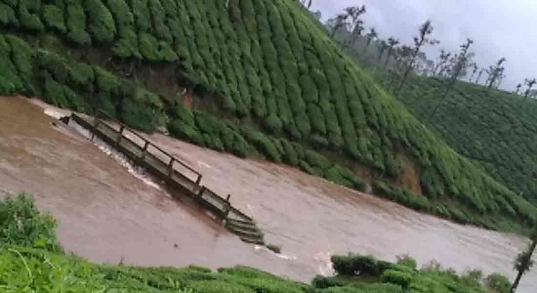 nilgiris