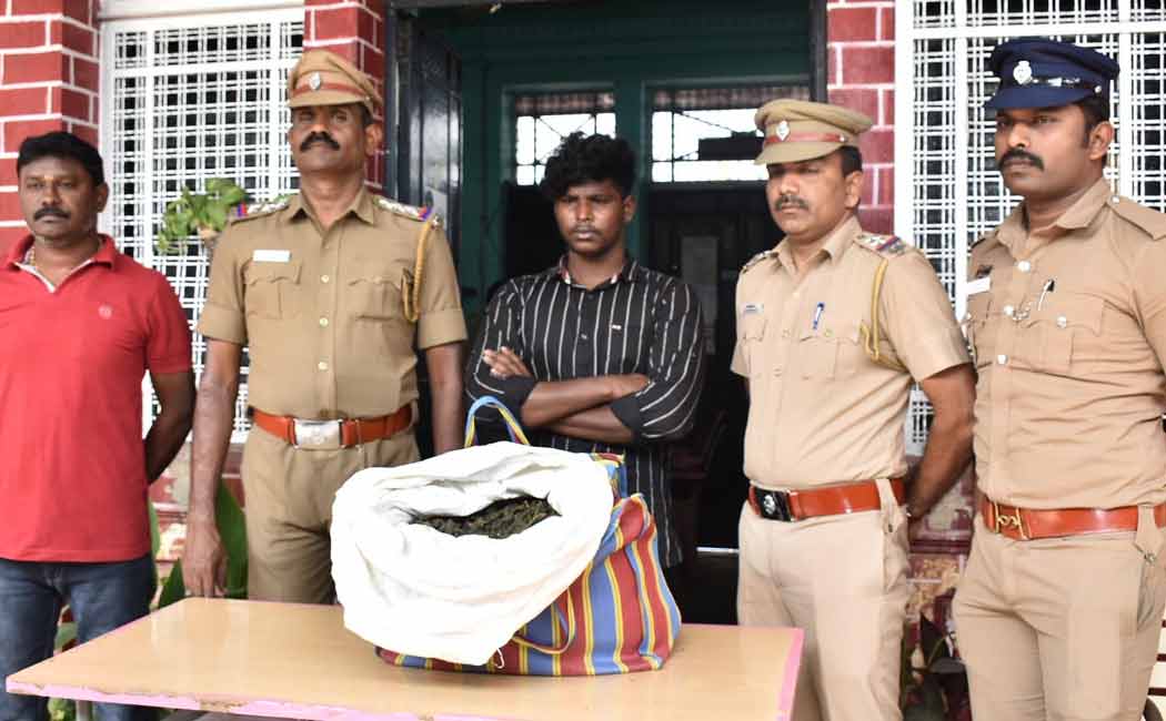 Cannabis sized in erode train