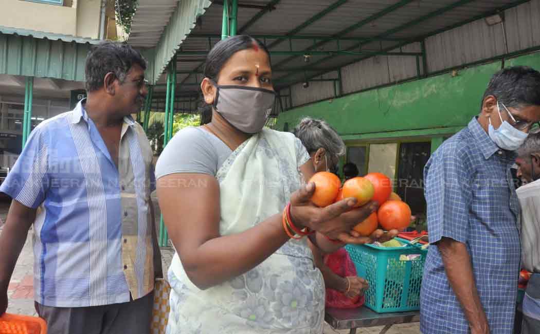 public to buy tomatoes at farm green stores
