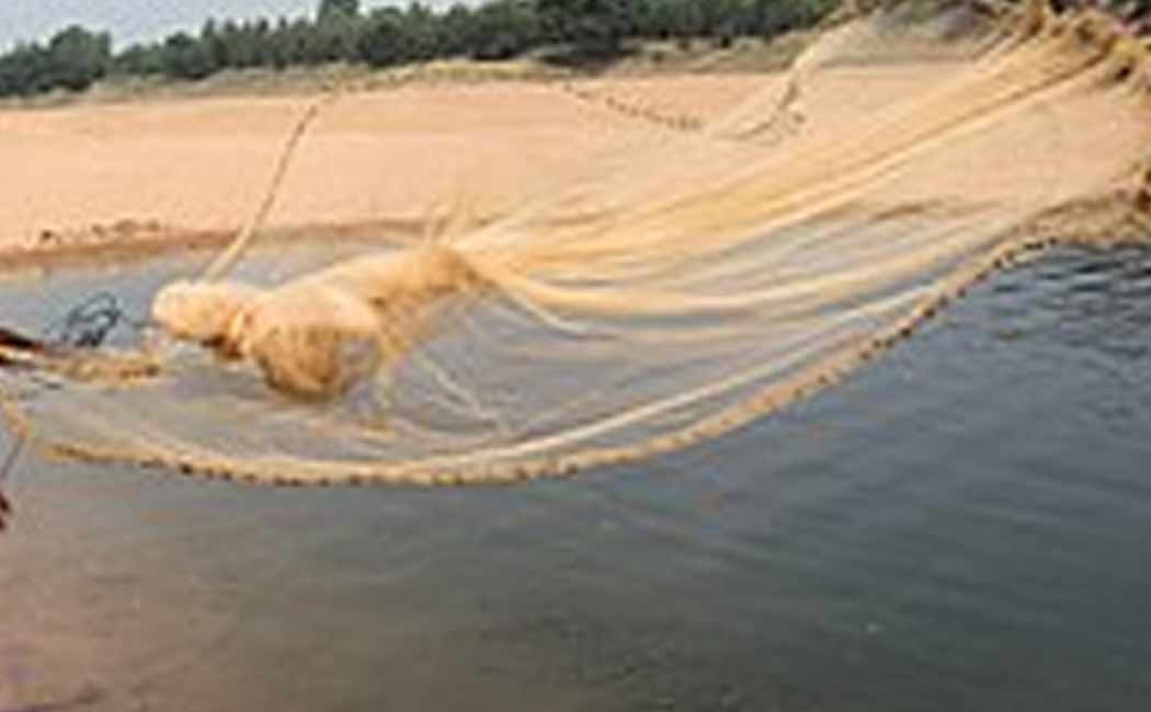 Shocking news as a 10-foot python was caught in a net lake