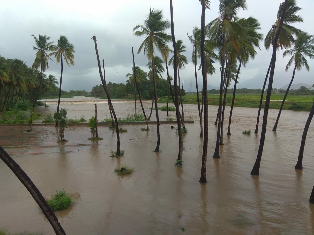 theni
