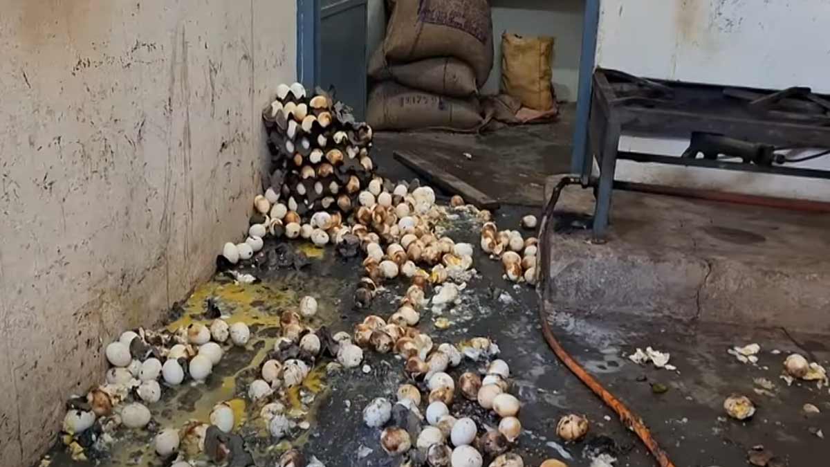 Cylinder explosion at a lunchroom causes chaos near Natham