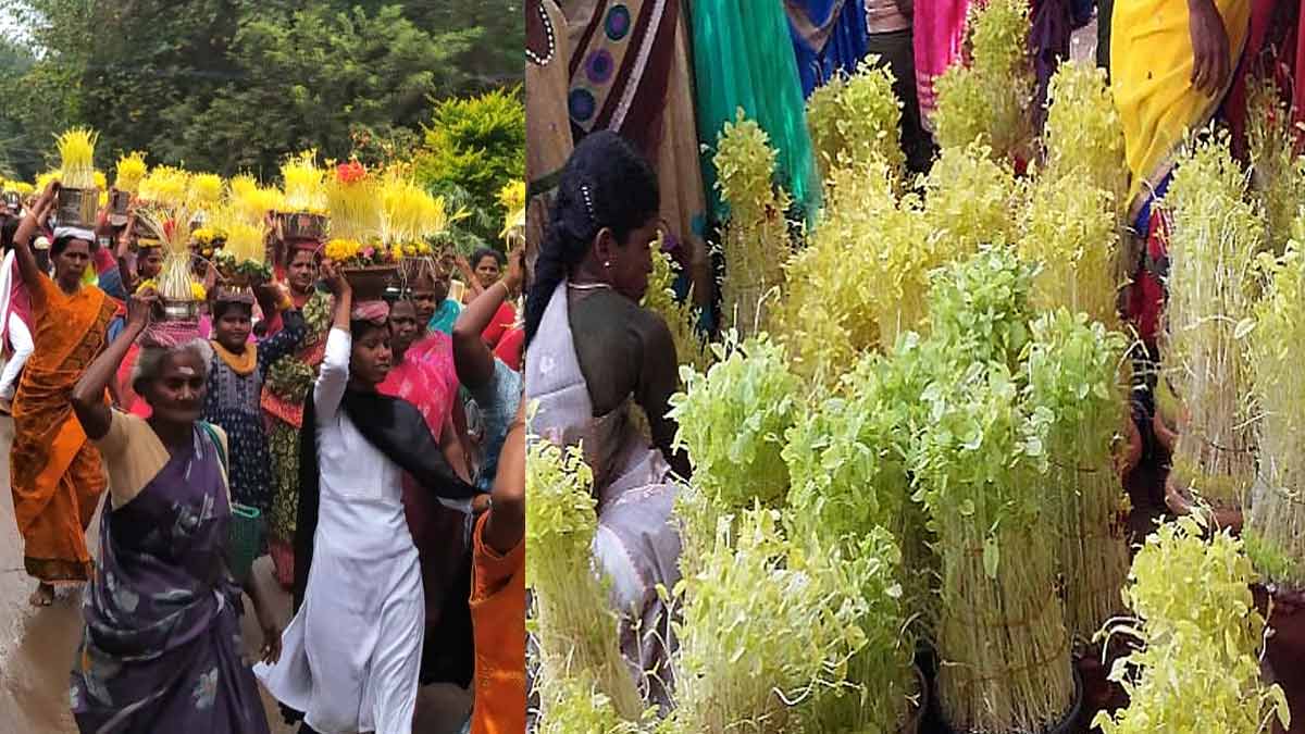 Veeramakaali Amman festival held at Kallanai Canal with Gummi dance