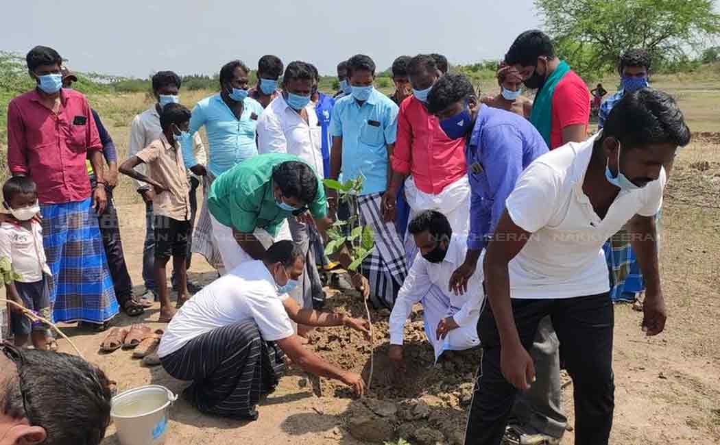 youth can sow more than one crore saplings