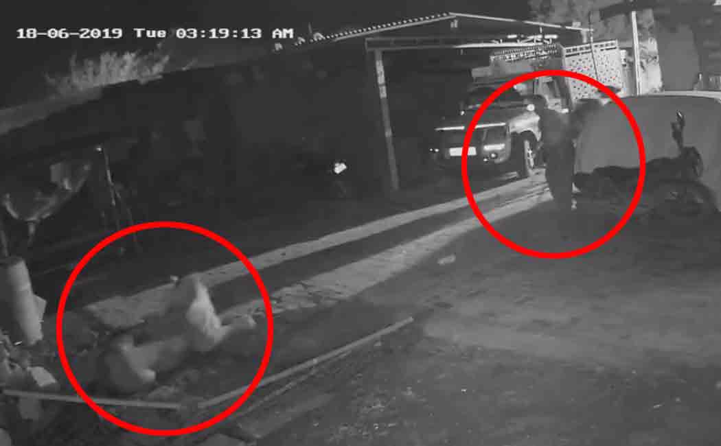 gujarat farmer fight with lion to save his cattle
