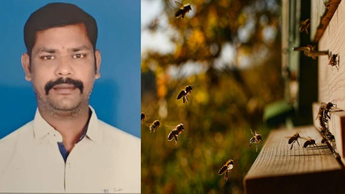 One lose their live;10 injured in bee sting