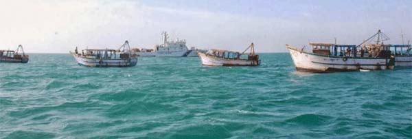 Tamil Nadu fishermen arrested