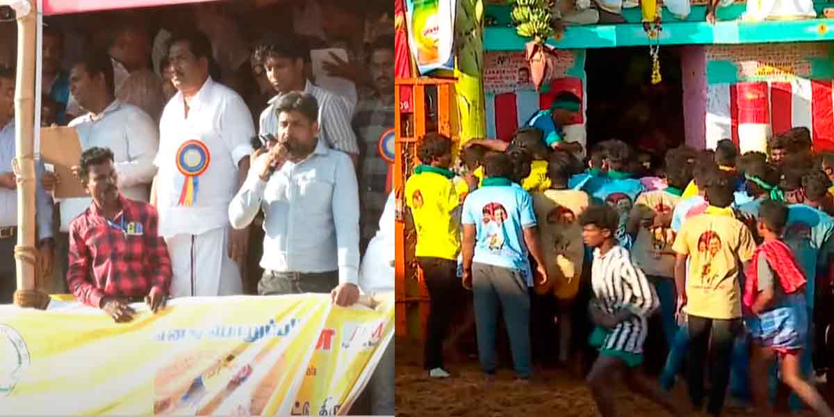 Palamedu Jallikattu completion