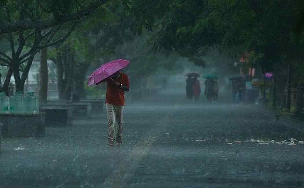 Wind speed variation Rain in Tamilnadu for next days
