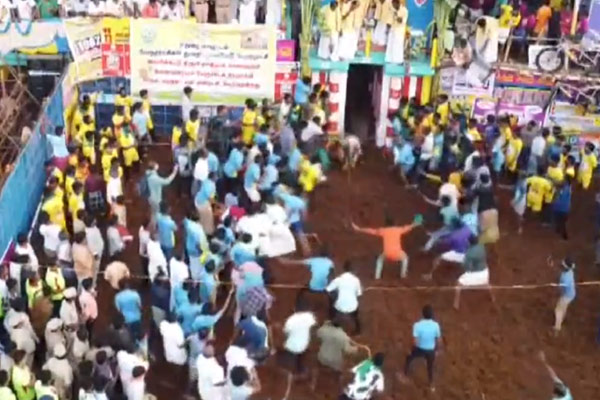 Palamedu jallikattu competition on caste issue