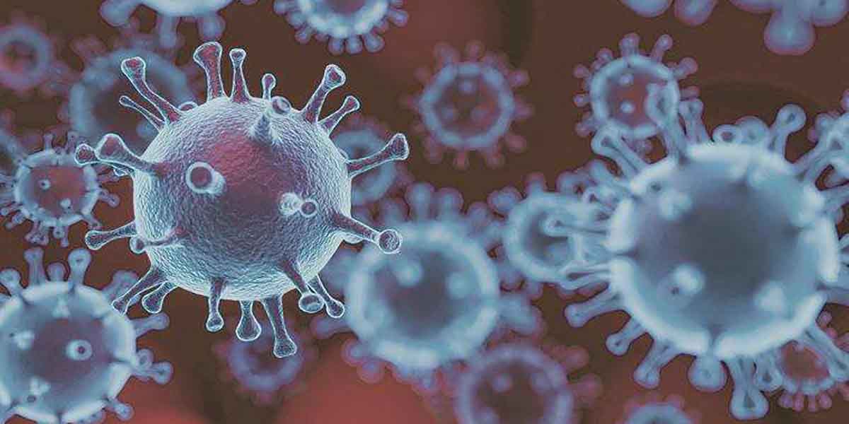 Sika virus threatening Kerala ... first vulnerability detected!