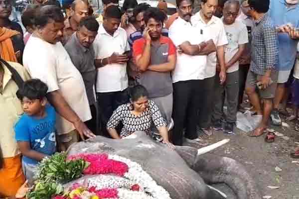 pondicherry Manakkul Vinayagar temple elephant passed away