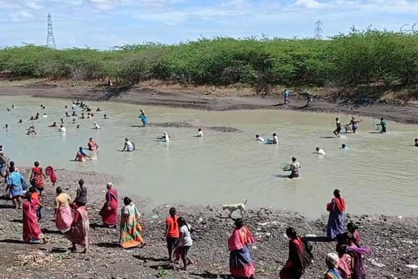 Fishing festival in violation of curfew rules .. Individual negligence ..?