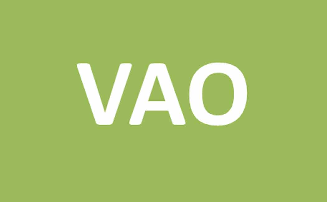 VAO Assistant issue