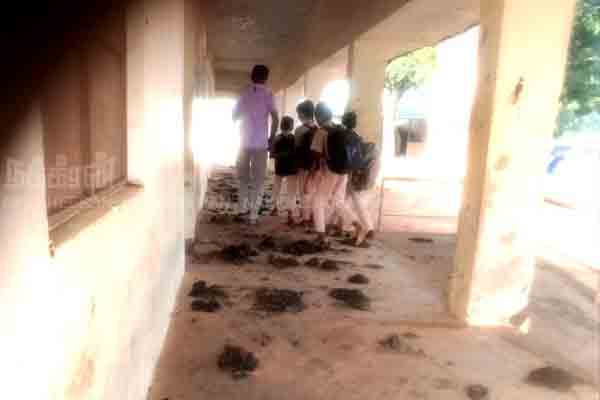 Students are suffering because of cowshed in government school