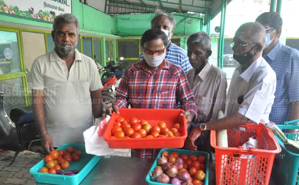 public to buy tomatoes at farm green stores